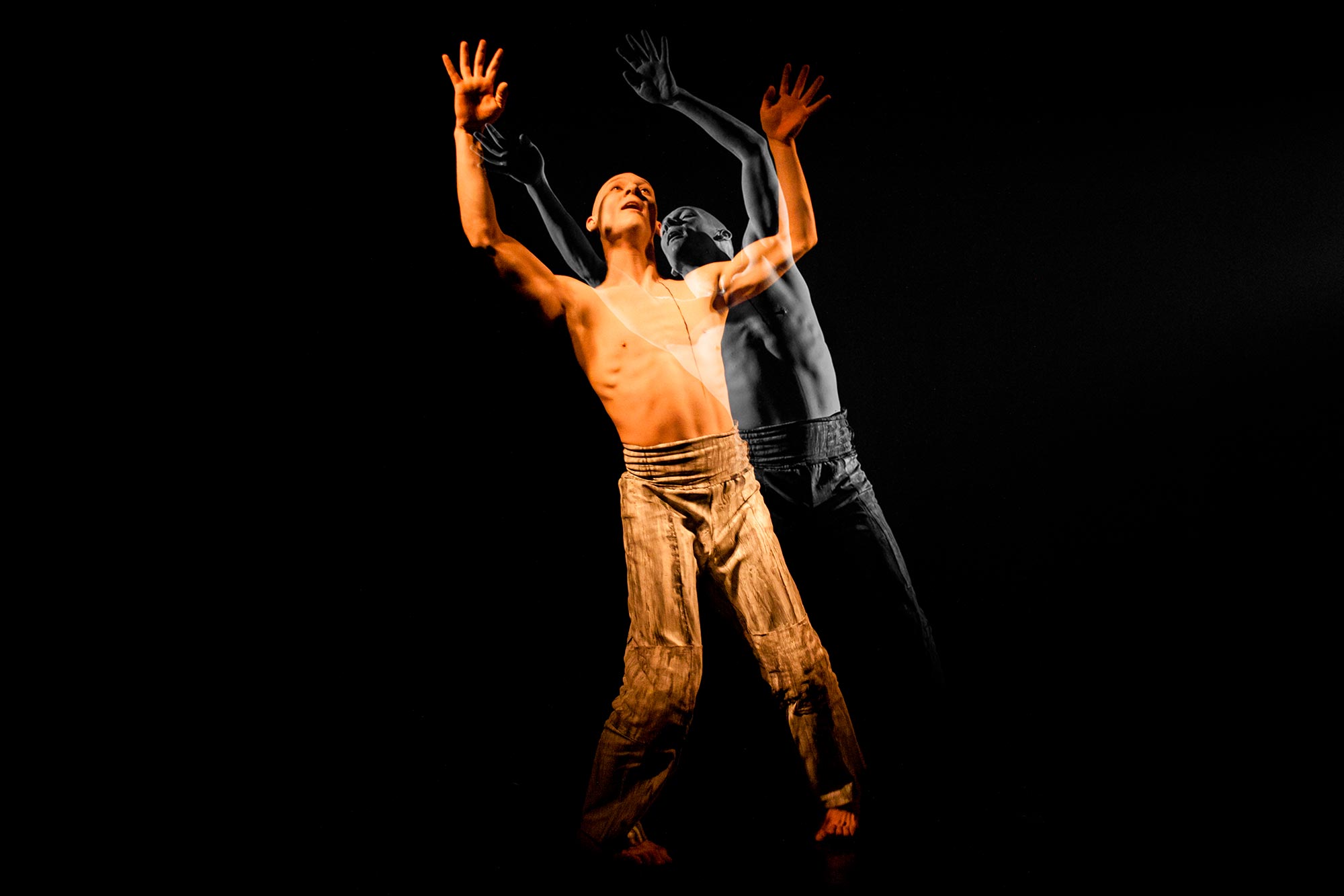 Árbol: Danza Butoh